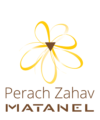 Logo_Perach_final_E-01